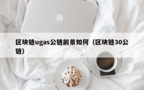 区块链ugas公链前景如何(区块链30公链)