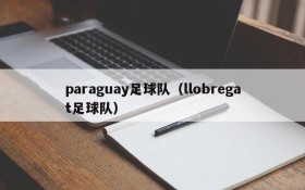 paraguay足球队(llobregat足球队)