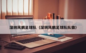 深圳风鹏足球队(深圳风鹏足球队队徽)