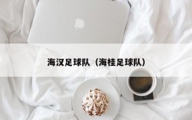 海汉足球队(海桂足球队)