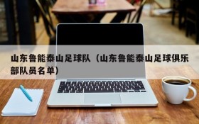 山东鲁能泰山足球队(山东鲁能泰山足球俱乐部队员名单)