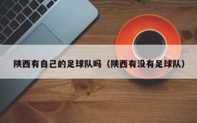 陕西有自己的足球队吗(陕西有没有足球队)