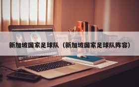 新加坡国家足球队(新加坡国家足球队阵容)