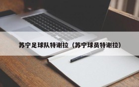 苏宁足球队特谢拉(苏宁球员特谢拉)