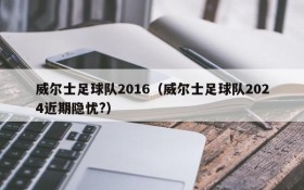 威尔士足球队2016(威尔士足球队2024近期隐忧?)