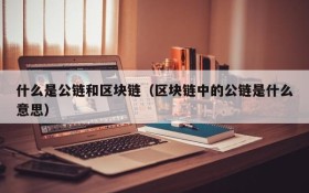 什么是公链和区块链(区块链中的公链是什么意思)
