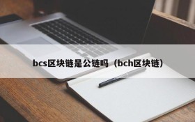 bcs区块链是公链吗(bch区块链)