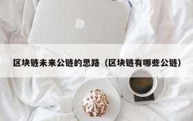 区块链未来公链的思路(区块链有哪些公链)