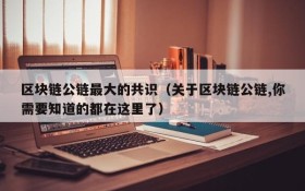 区块链公链最大的共识(关于区块链公链,你需要知道的都在这里了)