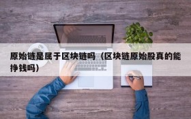 原始链是属于区块链吗(区块链原始股真的能挣钱吗)