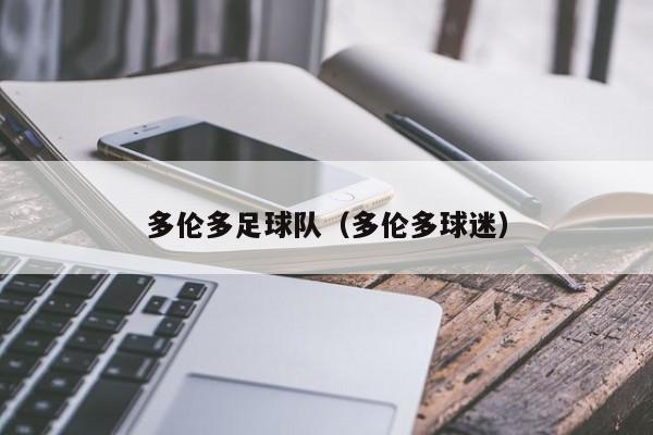多伦多足球队（多伦多球迷）