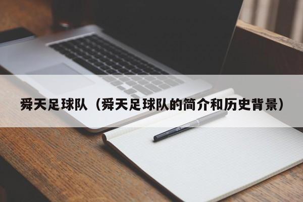 舜天足球队（舜天足球队的简介和历史背景）