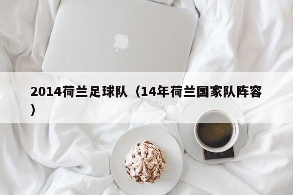 2014荷兰足球队（14年荷兰国家队阵容）