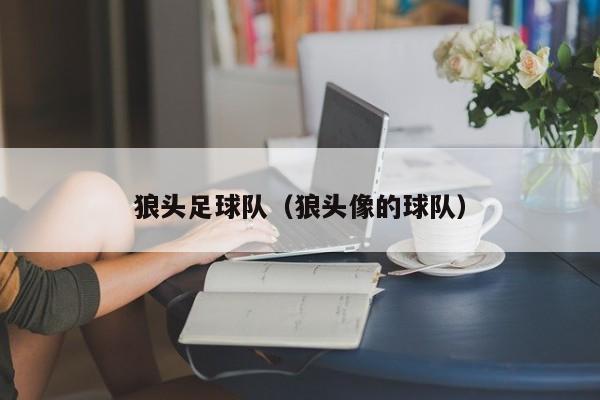 狼头足球队（狼头像的球队）