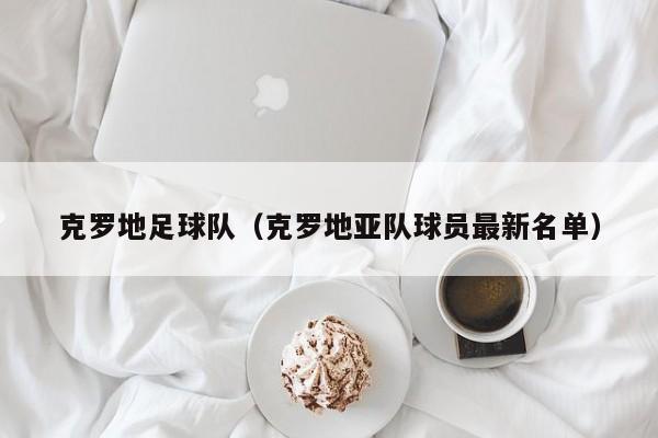 克罗地足球队（克罗地亚队球员最新名单）