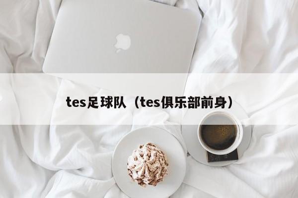 tes足球队（tes俱乐部前身）