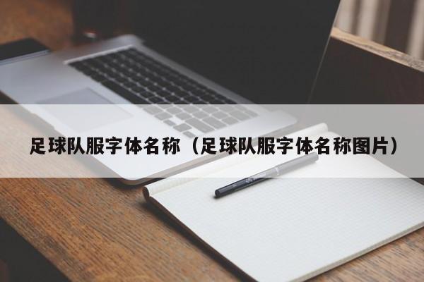 足球队服字体名称（足球队服字体名称图片）