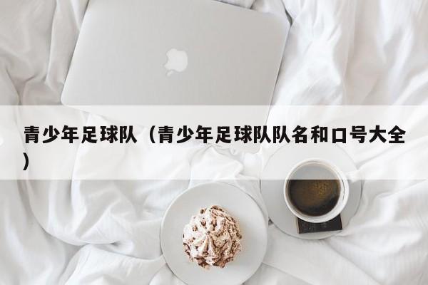 青少年足球队（青少年足球队队名和口号大全）