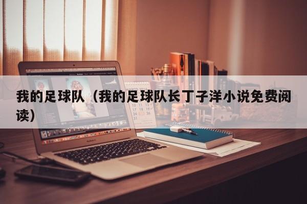 我的足球队（我的足球队长丁子洋小说免费阅读）