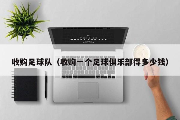 收购足球队（收购一个足球俱乐部得多少钱）