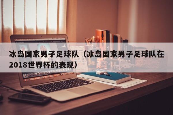 冰岛国家男子足球队（冰岛国家男子足球队在2018世界杯的表现）