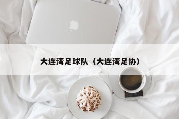大连湾足球队（大连湾足协）