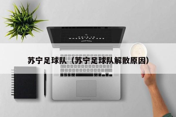 苏宁足球队（苏宁足球队解散原因）