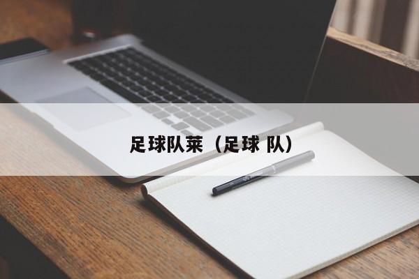 足球队莱（足球 队）