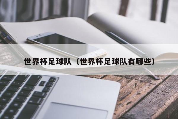 世界杯足球队（世界杯足球队有哪些）