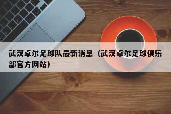 武汉卓尔足球队最新消息（武汉卓尔足球俱乐部官方网站）