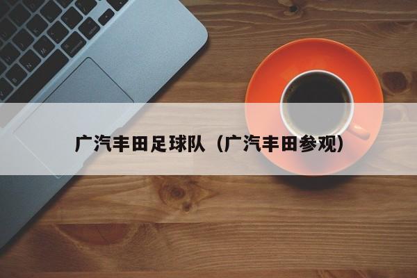 广汽丰田足球队（广汽丰田参观）