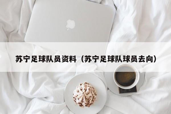 苏宁足球队员资料（苏宁足球队球员去向）