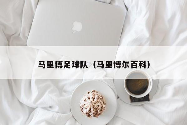 马里博足球队（马里博尔百科）