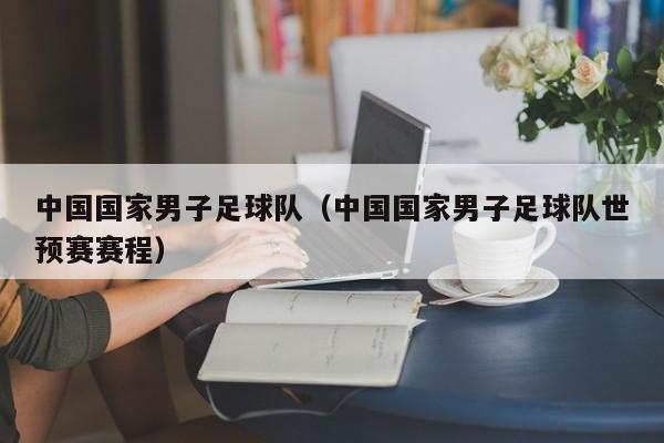 中国国家男子足球队（中国国家男子足球队世预赛赛程）