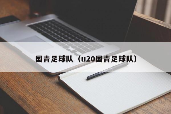 国青足球队（u20国青足球队）
