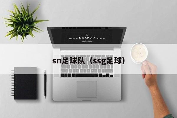 sn足球队（ssg足球）