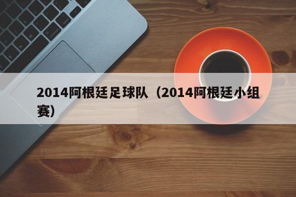 2014阿根廷足球队（2014阿根廷小组赛）