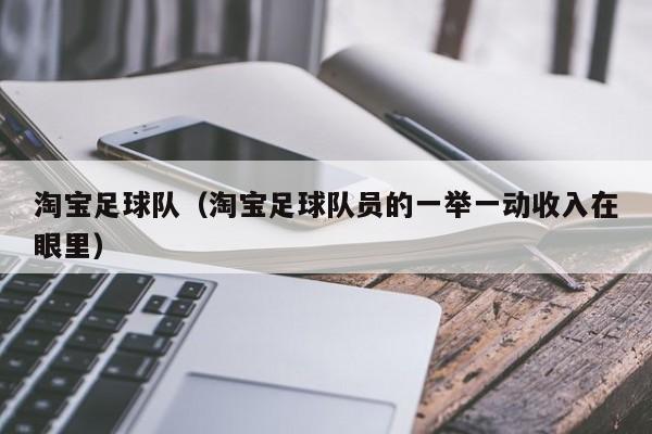 淘宝足球队（淘宝足球队员的一举一动收入在眼里）