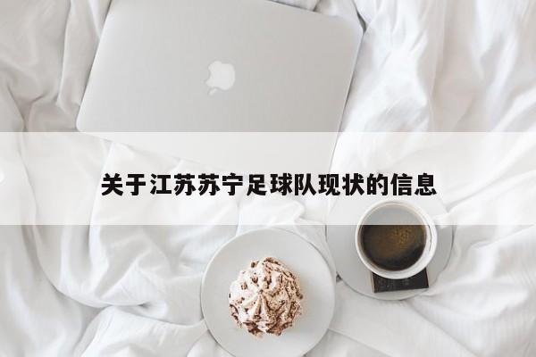 关于江苏苏宁足球队现状的信息