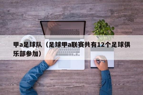 甲a足球队（足球甲a联赛共有12个足球俱乐部参加）