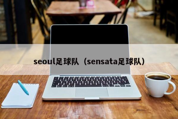 seoul足球队（sensata足球队）