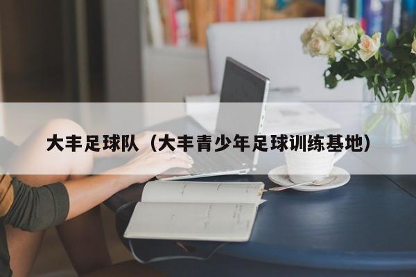 大丰足球队（大丰青少年足球训练基地）