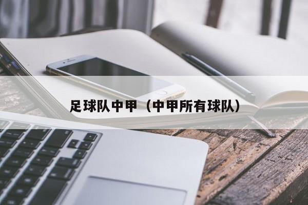 足球队中甲（中甲所有球队）
