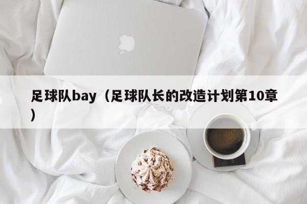 足球队bay（足球队长的改造计划第10章）