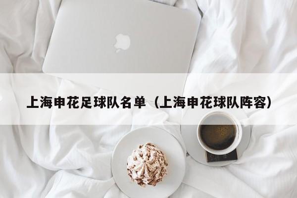 上海申花足球队名单（上海申花球队阵容）