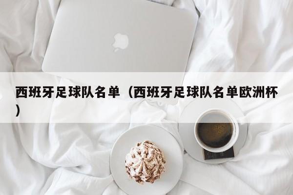 西班牙足球队名单（西班牙足球队名单欧洲杯）
