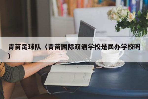 青苗足球队（青苗国际双语学校是民办学校吗）