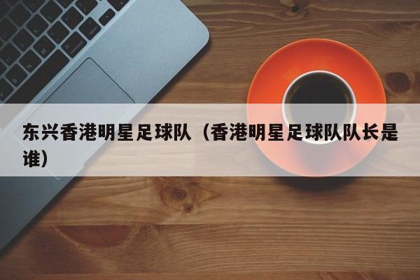 东兴香港明星足球队（香港明星足球队队长是谁）
