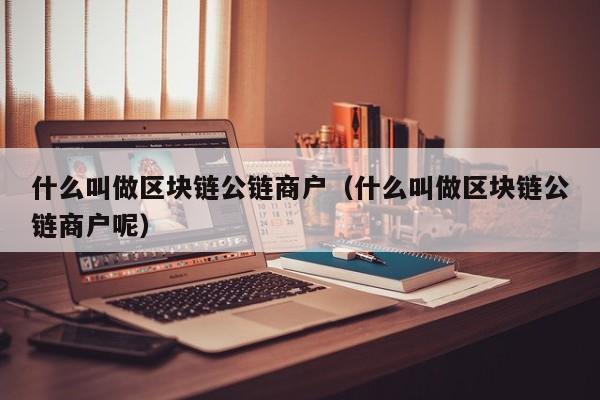 什么叫做区块链公链商户（什么叫做区块链公链商户呢）