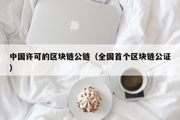 中国许可的区块链公链（全国首个区块链公证）